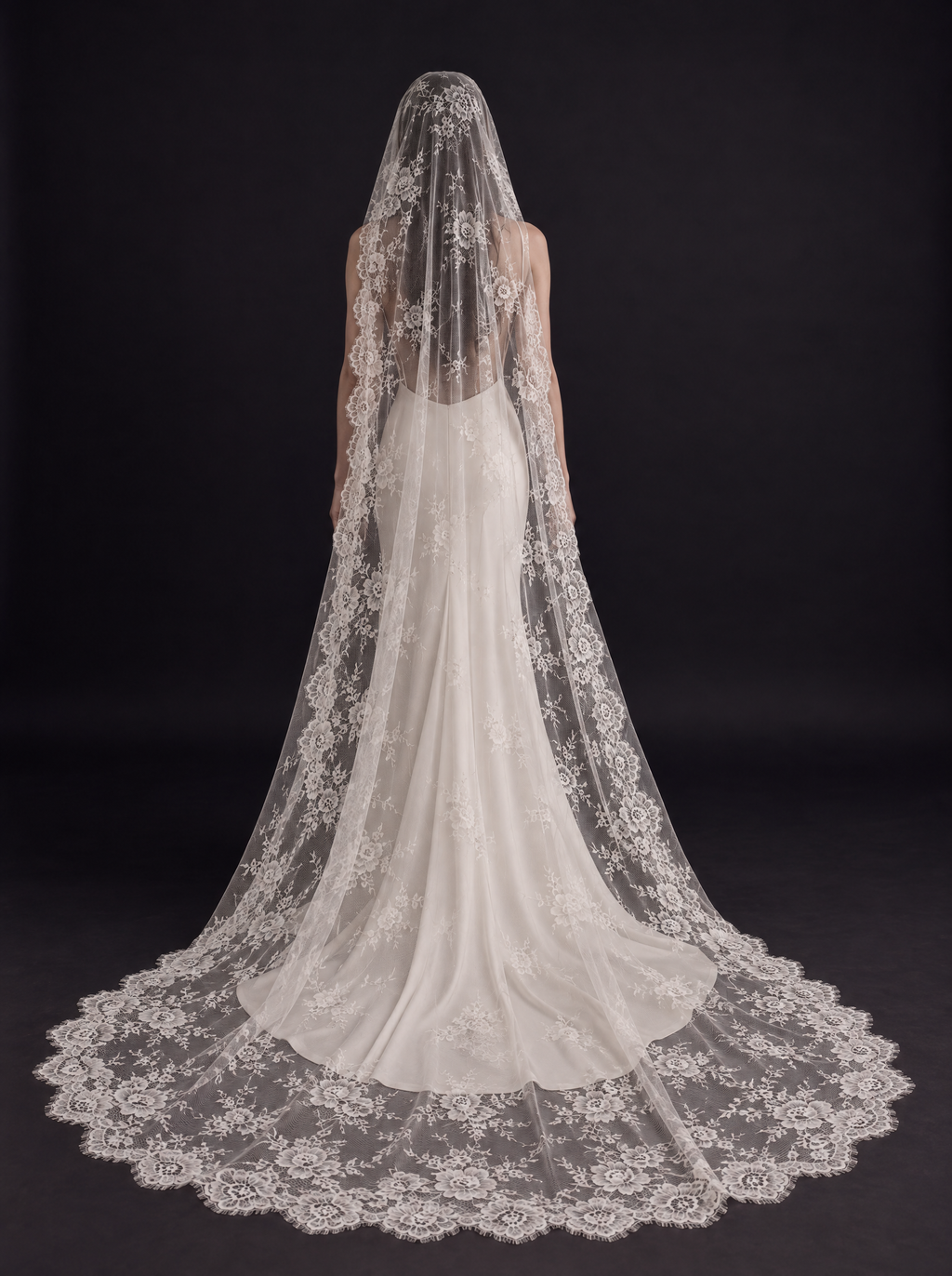 The Ysabel veil — back view of the wide floral lace border